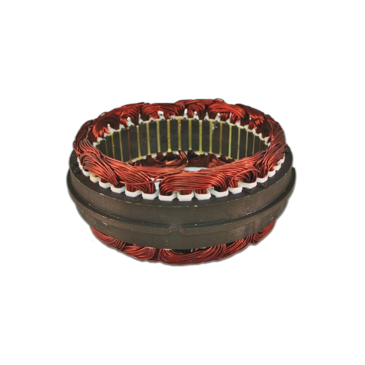 12 Volt PMA Stator Coil